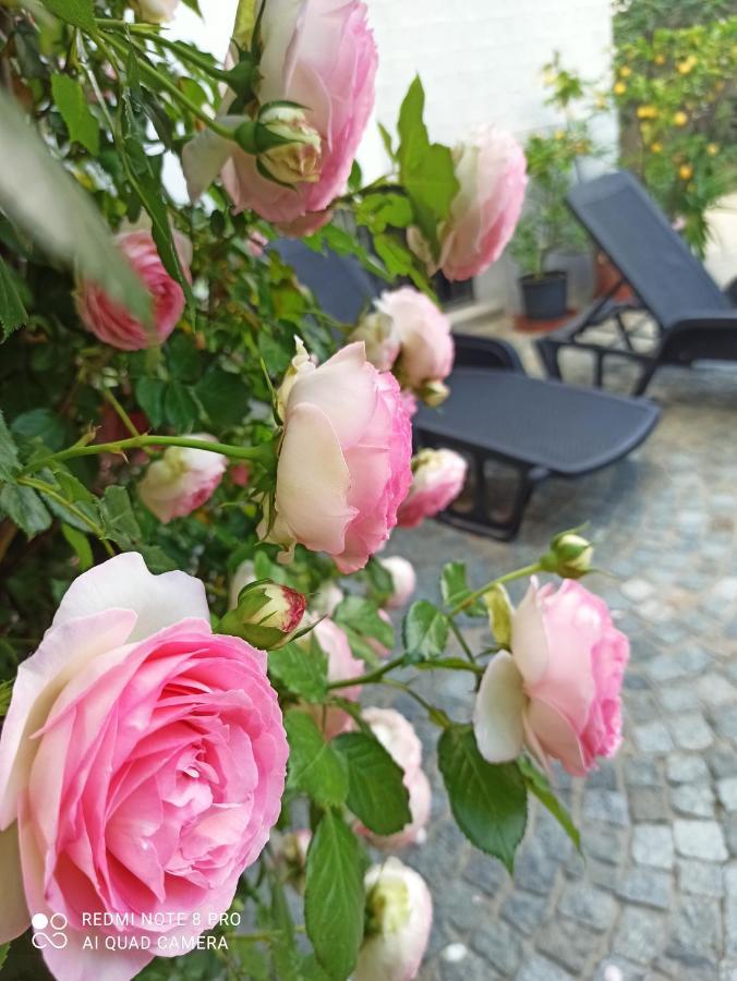 Carignano  D'Or Duble' Bed And Breakfast מראה חיצוני תמונה
